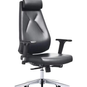 Fauteuil de bureau pro, ergonomique avec appui tete et accoudoir